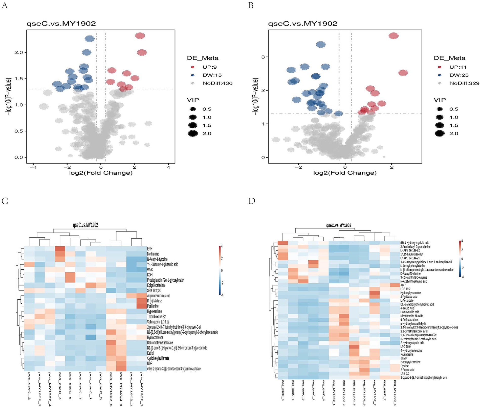 Graph A shows a scatter plot comparing qseC and MY1902 groups with DE_Meta colored points indicating up, down, and no differential expression. Graph B presents a similar plot with different DE_Meta values. Chart C is a heatmap comparing metabolite levels between qseC and MY1902, with a color scale ranging from blue (low) to red (high). Chart D displays another heatmap highlighting different metabolites between the two groups with the same color scale.