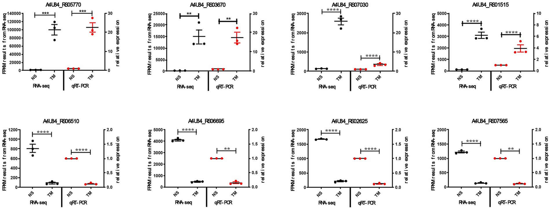 Graphs comparing RNA-seq and qRT-PCR results for different gene expressions under non-stressed (NS) and treated (TM) conditions. Each plot represents a gene's expression level with significant differences noted by asterisks indicating p-values: ** for p < 0.01, **** for p < 0.0001.