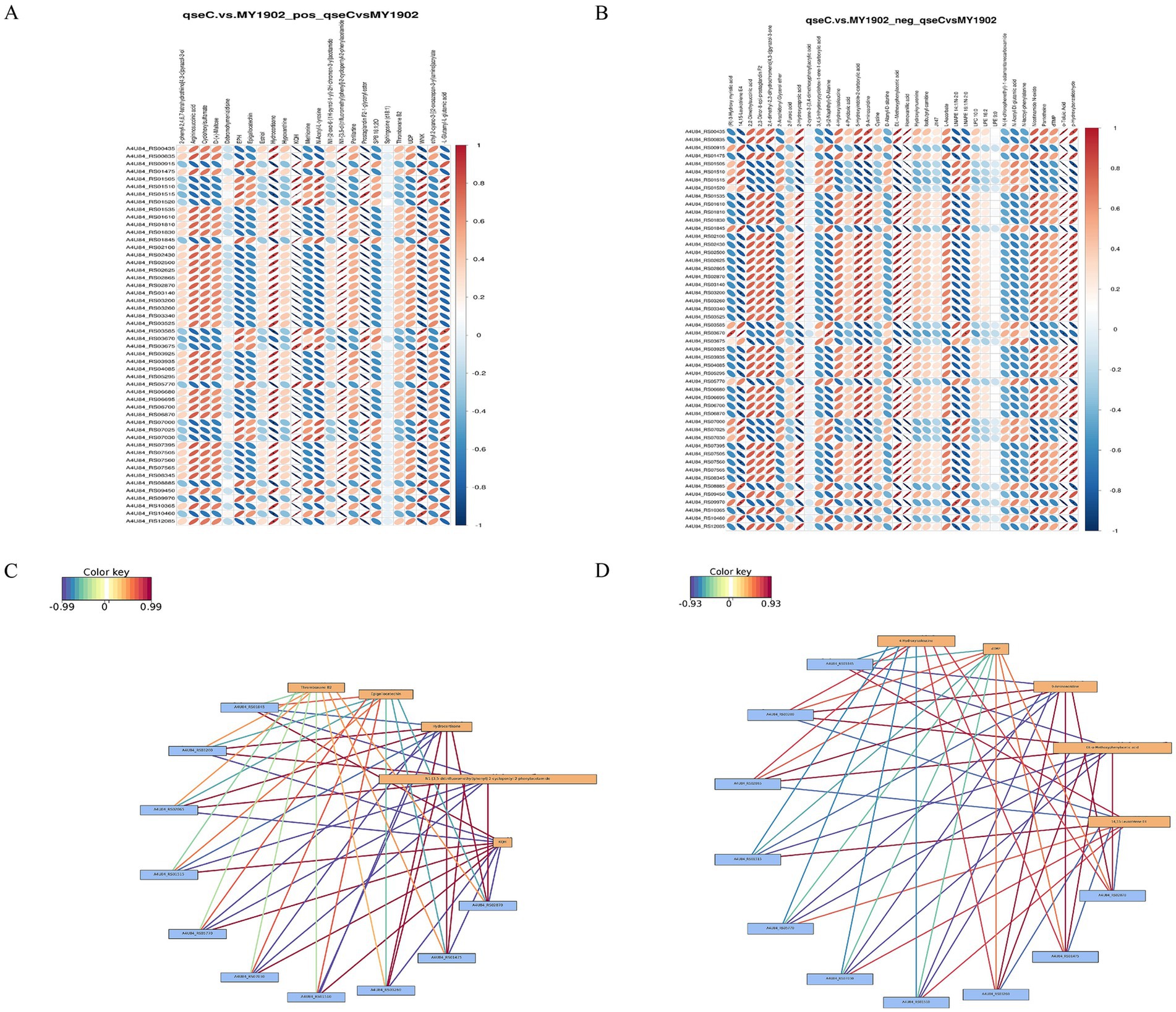 Heatmaps and network diagrams illustrating gene expression analysis. Heatmaps (A and B) show gene interactions with color gradients from blue to red, indicating expression levels. Network diagrams (C and D) display nodes and edges representing gene relationships with varied edge colors to denote interaction strength. Color keys present correlation values.