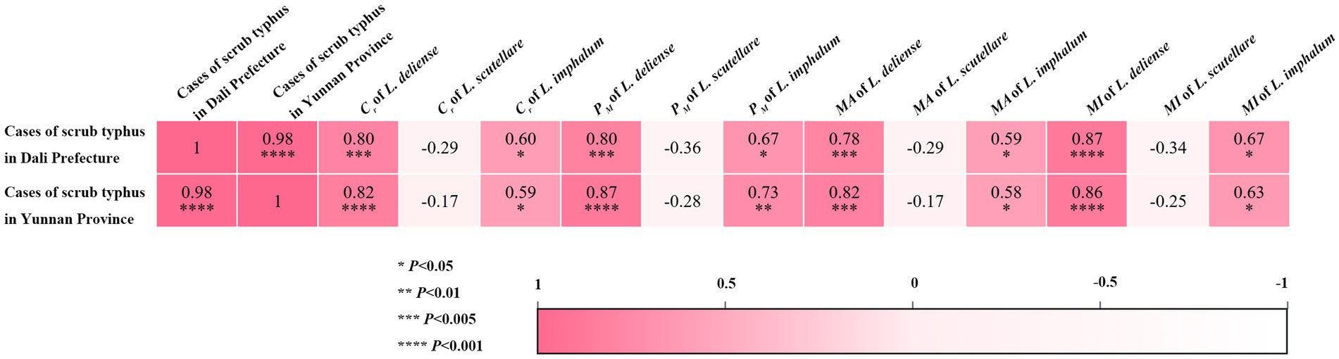 Heatmap displaying correlation coefficients between scrub typhus cases in Dali Prefecture and Yunnan Province with various parameters including different species (L. deliense, L. scutellare, L. imphalum) and indices (MI, MA, PM). Positive correlations range from strong (0.98) to weak (0.59), with significant P-values noted by asterisks. A color gradient from light pink to dark red represents the strength of the correlation.
