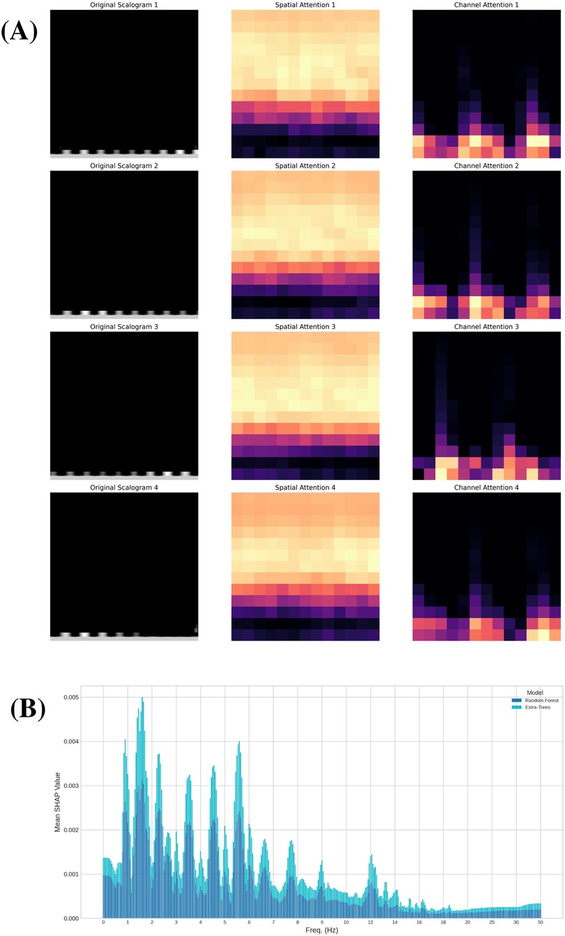 (A) A set of scalogram images showing original scalograms, spatial attention, and channel attention. Each row displays one original scalogram, its corresponding spatial attention, and channel attention, illustrating different visual patterns and color intensities. (B) A bar chart comparing mean SHAP values against frequency in hertz for Random Forest and Extra-Trees models. The chart highlights peaks between 0 and 10 hertz with values decreasing towards 50 hertz.