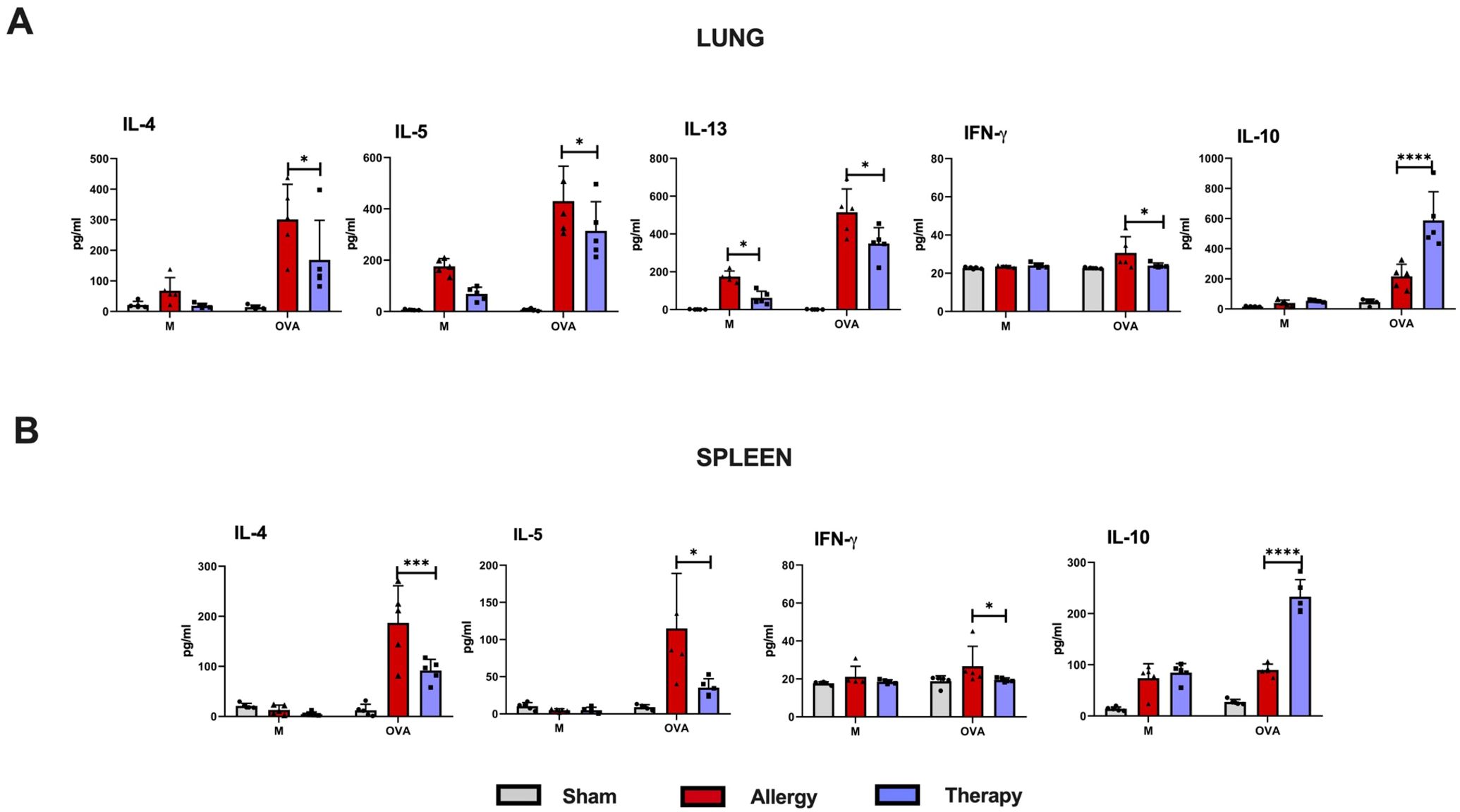 Bar graphs show cytokine levels in lungs and spleen. Section A illustrates IL-4, IL-5, IL-13, IFN-γ, and IL-10 in lungs, and section B shows IL-4, IL-5, IFN-γ, and IL-10 in spleen. Comparisons across sham, allergy, and therapy groups are depicted, with significant differences indicated by asterisks.