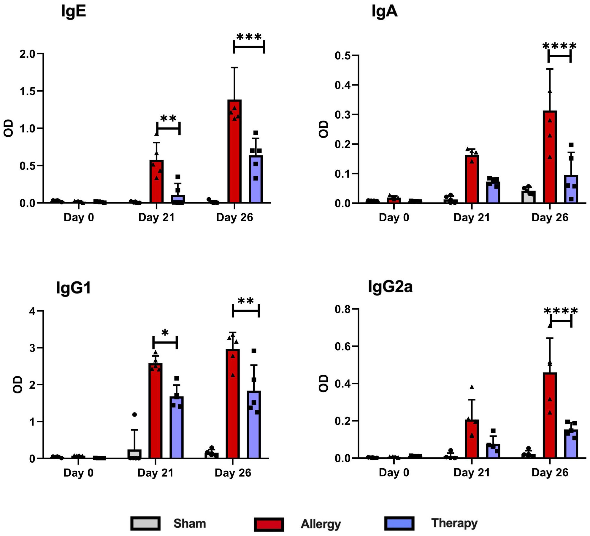 Bar graphs showing optical density (OD) measurements of antibodies IgE, IgA, IgG1, and IgG2a at Days 0, 21, and 26 for Sham, Allergy, and Therapy groups. Allergy group shows significantly higher OD levels at Days 21 and 26 for all antibodies compared to Therapy, highlighted by asterisks. Therapy group shows lower OD than Allergy.