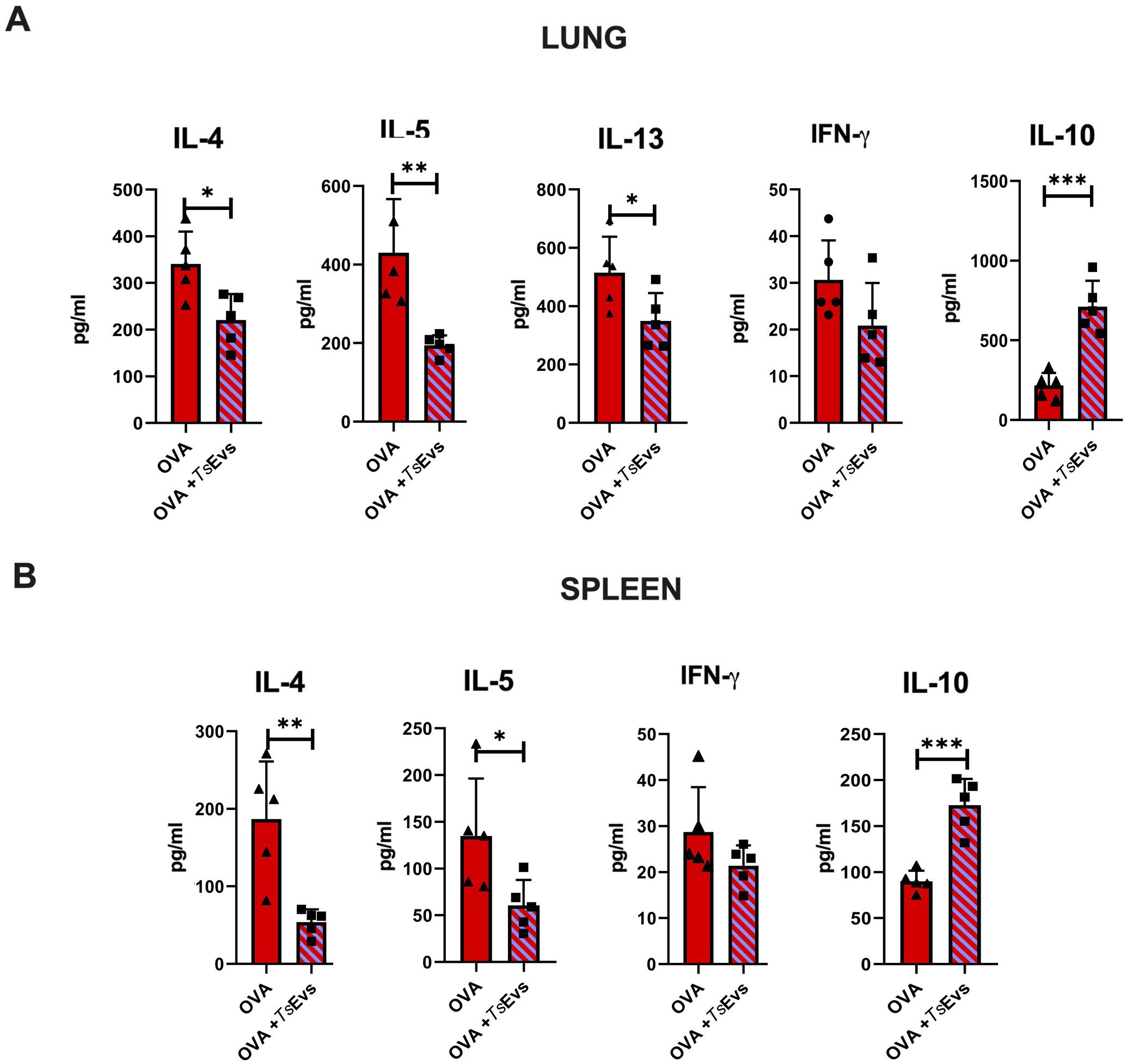 Bar graphs displaying cytokine levels in lung and spleen tissues. Panel A (LUNG) shows significant decreases in IL-4, IL-5, and IL-13 levels with OVA + TSEvs treatment compared to OVA alone. IFN-γ is not significantly altered, while IL-10 increases with treatment. Panel B (SPLEEN) reveals decreased IL-4 and IL-5 with treatment, with no significant IFN-γ change, but increased IL-10. Significance indicated by asterisks (*p<0.05, **p<0.01, ***p<0.001, ****p<0.0001).