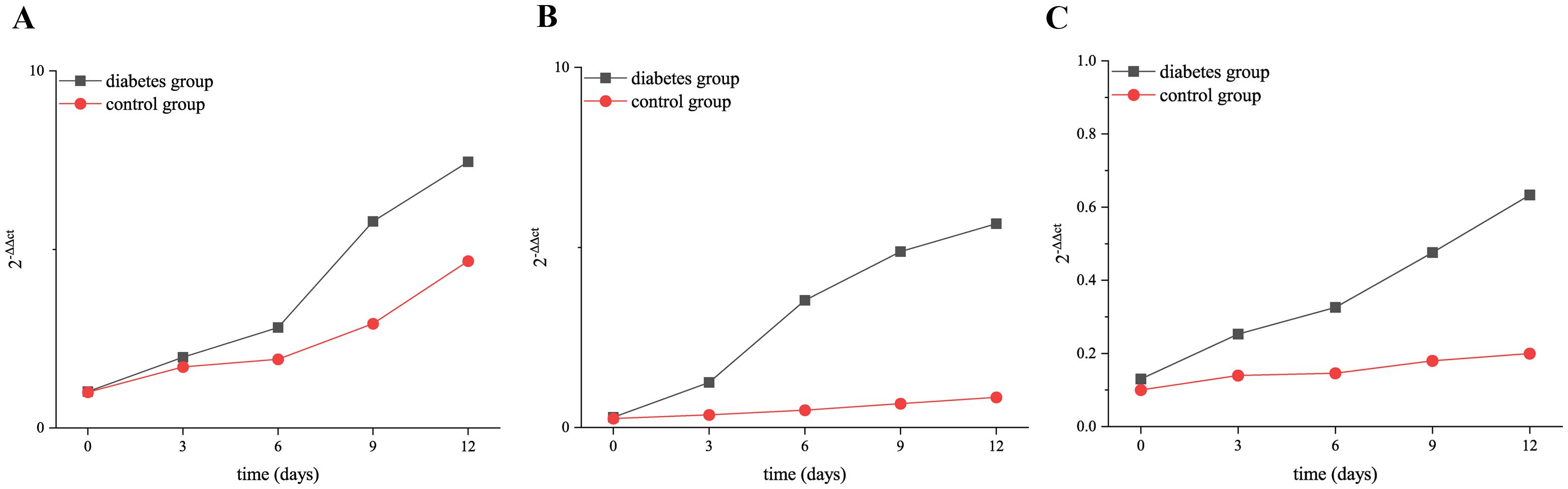 Three line graphs labeled A, B, and C compare the absorbance (A) over time in days for a diabetes group and a control group. In all graphs, the diabetes group's line with square markers consistently shows higher values than the control group's line with circular markers. Graphs A and B have similar trends with a rise by day 12, while Graph C shows a smaller increase. Graphs indicate the diabetes group exhibits a greater increase in absorbance over time compared to the control group.