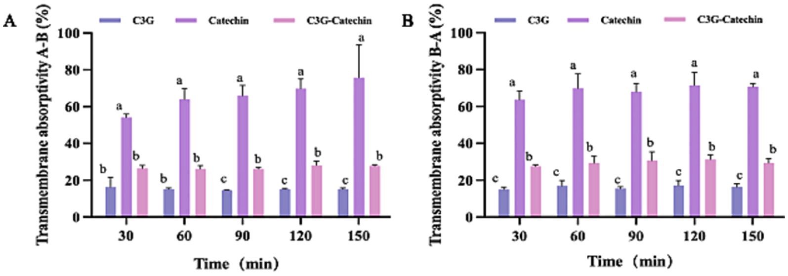 Bar charts showing transmembrane absorptivity over time for C3G, catechin, and C3G-catechin. Chart A depicts absorptivity from A to B, while chart B shows B to A. Each chart has time intervals of thirty, sixty, ninety, one hundred twenty, and one hundred fifty minutes with varying absorptivity levels for each substance, marked by different colors, along with statistical significance annotations.