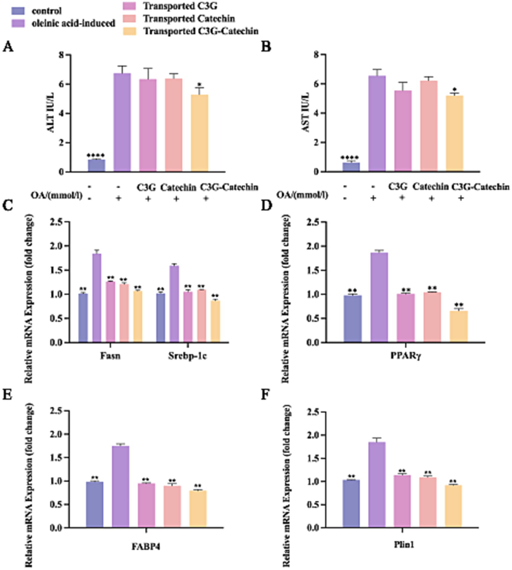 Charts illustrating the effects of various treatments on enzyme levels and gene expression. Panels A and B show ALT and AST enzyme levels across different treatments, with variations in response to oleic acid and compounds like C3G and Catechin. Panels C to F display relative mRNA expression changes for genes Fasn, Srebp-1c, PPARγ, FABP4, and Plin1, highlighting differences between control, oleic acid-induced, and compound-treated groups. Different colors represent each treatment group. Significant changes are marked with asterisks.