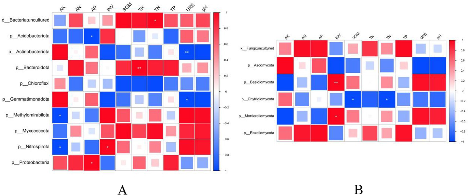 Heatmaps labeled A and B display correlations between various environmental factors (AK, AN, AP, etc.) and microbial phyla. Red and blue squares represent positive and negative correlations, respectively, with color intensity indicating correlation strength. Phyla are listed on the left, such as Acidobacteriota and Ascomycota.