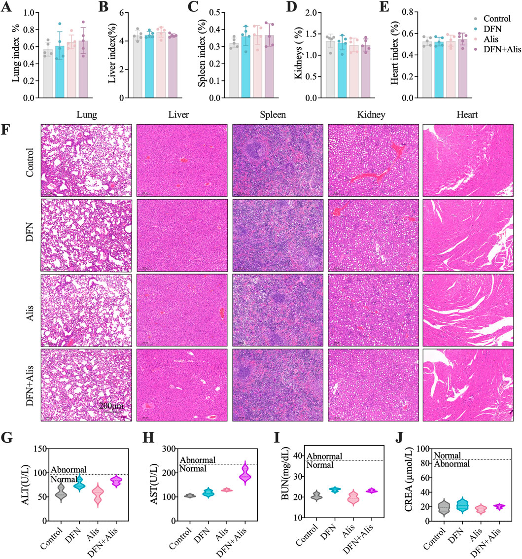 Bar graphs (A to E) compare lung, liver, spleen, kidney, and heart indices for control, DFN, Alis, and DFN+Alis groups. Panel F shows histological slides of these organs, arranged by treatment. Violin plots (G to J) display ALT, AST, BUN, and CREA levels, indicating normal or abnormal ranges across the same groups.