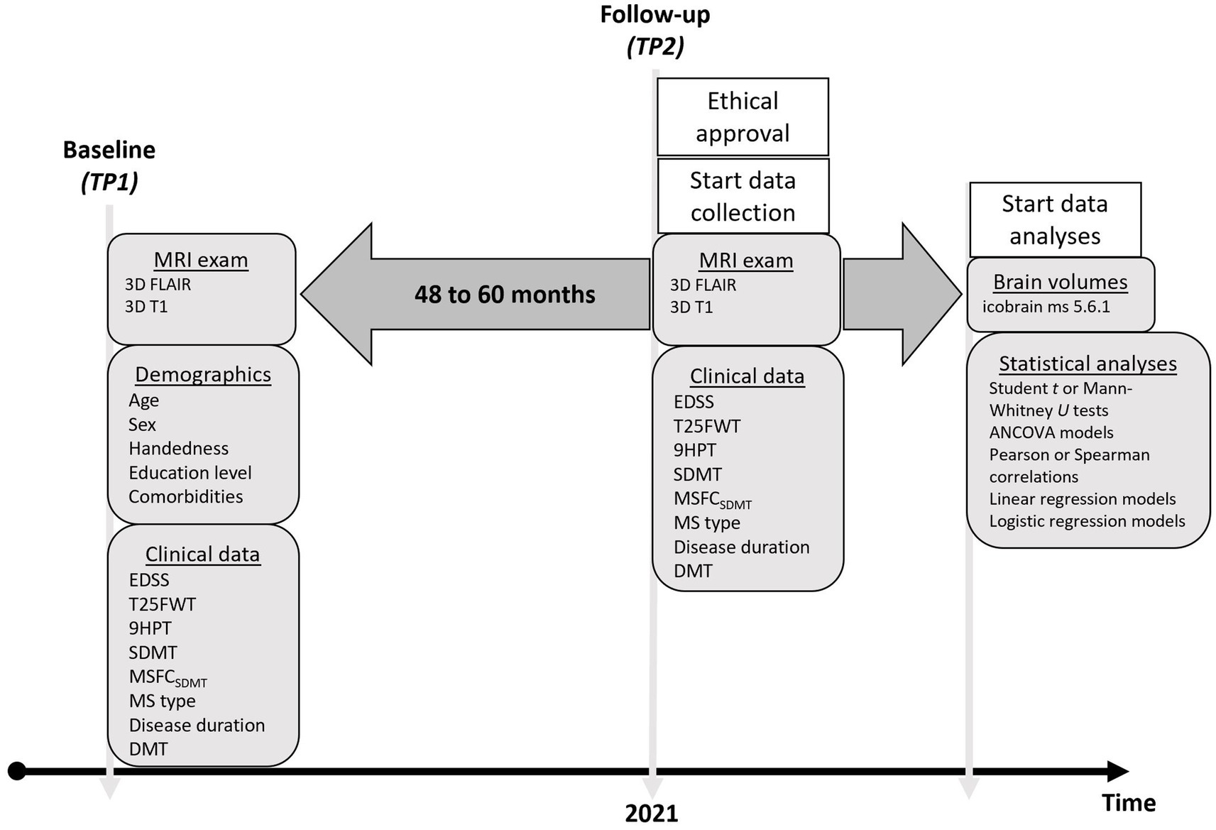 Flowchart showing a research timeline and data collected at different stages. Baseline (TP1) includes MRI exam (3D FLAIR, 3D T1), demographics, and clinical data. Follow-up (TP2) involves ethical approval, data collection over 48-60 months, MRI exams, and clinical data. In 2021, data analysis begins, focusing on brain volumes and statistical analyses like t-tests, ANCOVA, correlations, and regression models.