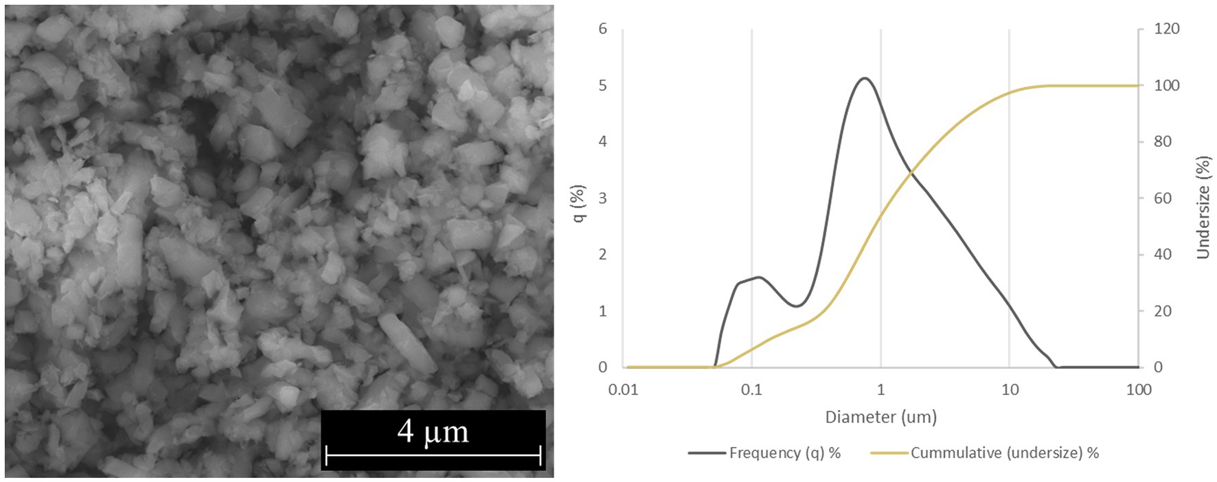 A grayscale electron microscope image shows clustered particles with a scale of four micrometers at the bottom. To the right is a graph with a black line illustrating frequency percentage and a yellow line showing cumulative undersize percentage versus particle diameter in micrometers. The graph shows an increasing trend in cumulative percentage as particle diameter increases, while the frequency peaks and then declines.