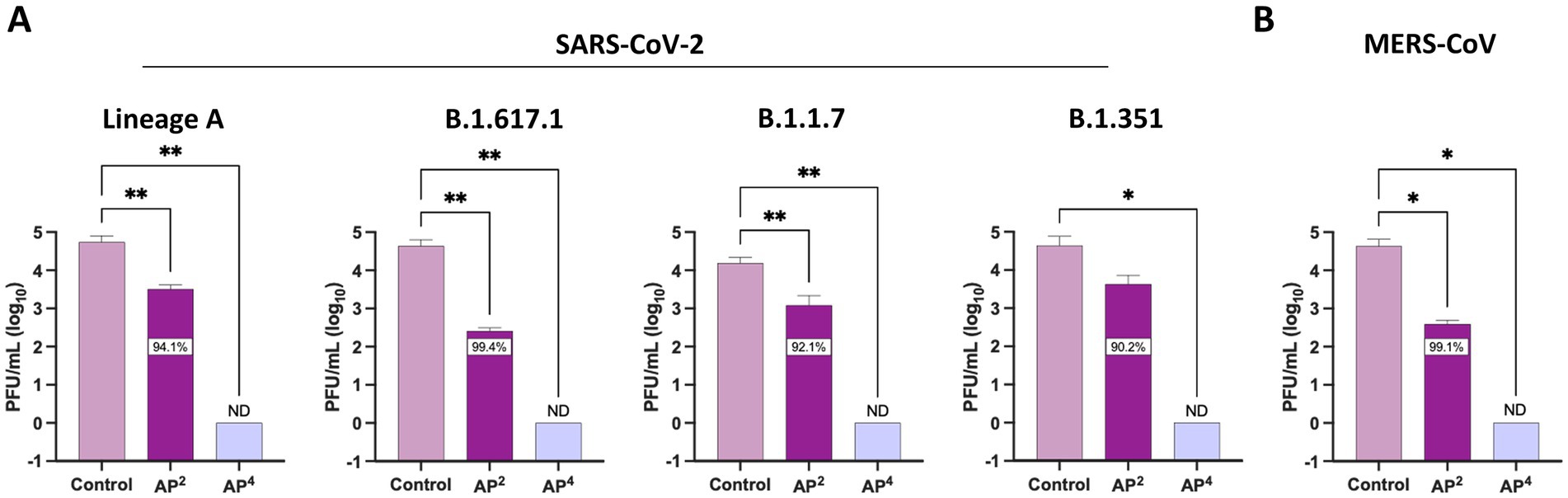 Bar charts comparing PFU per milliliter for SARS-CoV-2 lineages (Lineage A, B.1.617.1, B.1.1.7, B.1.351) and MERS-CoV. Each lineage shows three treatments: Control, AP², AP⁴. Significant reductions in virus levels with AP², with some marked not detected for AP⁴. Percentage reductions labeled for AP². Statistical significance is indicated with asterisks.