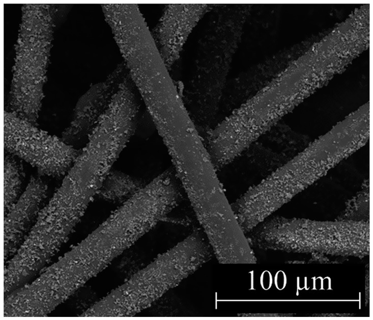 Electron micrograph close-up of microfibers viewed at high magnification, showing intertwined cylindrical strands with surfaces roughened by powder coating. A scale marker indicates a length of 100 micrometers.
