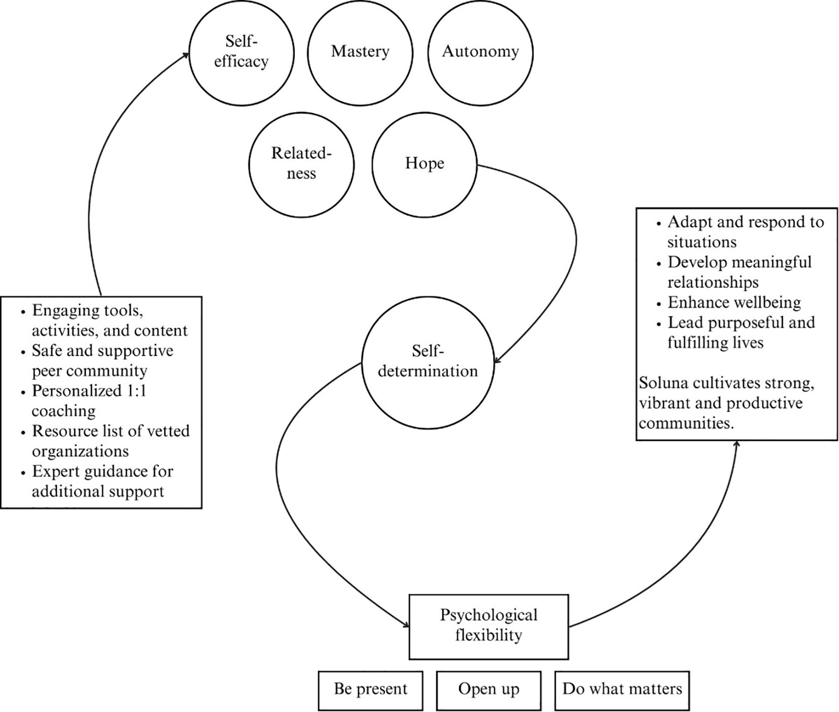 Diagram illustrating the logic connecting Soluna's features to impact. Features include tools, a supportive community, coaching and resources. These lead to self-efficacy, mastery, autonomy, relatedness, and hope which then link to self-determination and psychological flexibility. Impacts include adapting to situations, enhanced wellbeing, and leading fulfilling lives. Together, Soluna cultivates strong, vibrant communities.