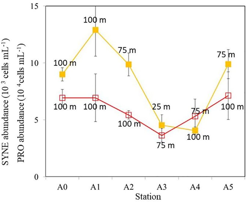Line graph showing SYNE and PRO abundance across stations A0 to A5. SYNE (yellow line) peaks at A1 and A5, while PRO (red line) remains relatively stable with slight peaks at A2 and A5. Data points are marked at depths of 100 m, 75 m, and 25 m.