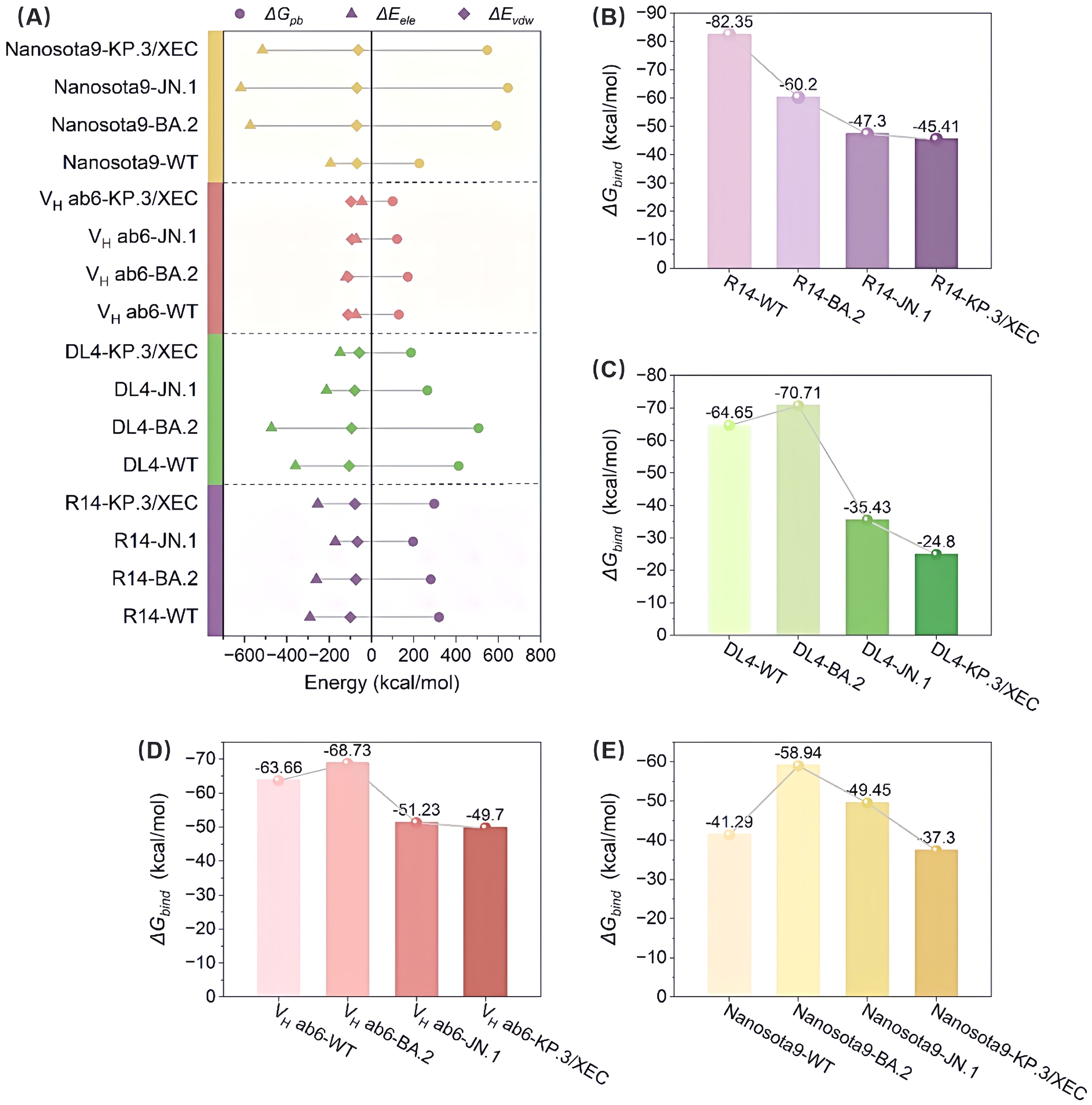 Chart (A) displays energy contributions (\( \Delta G_{\text{pb}}, \Delta E_{\text{ele}}, \Delta E_{\text{vdw}} \)) for various interactions, with horizontal bars indicating values in kcal/mol. Charts (B) to (E) show bar graphs of \( \Delta G_{\text{bind}} \) values, ranging from approximately -82.35 to -24.8 kcal/mol, for different compounds: R14, DL4, V_H ab6, and Nanosota9 variants. The energy decreases progressively across different variants in each graph.