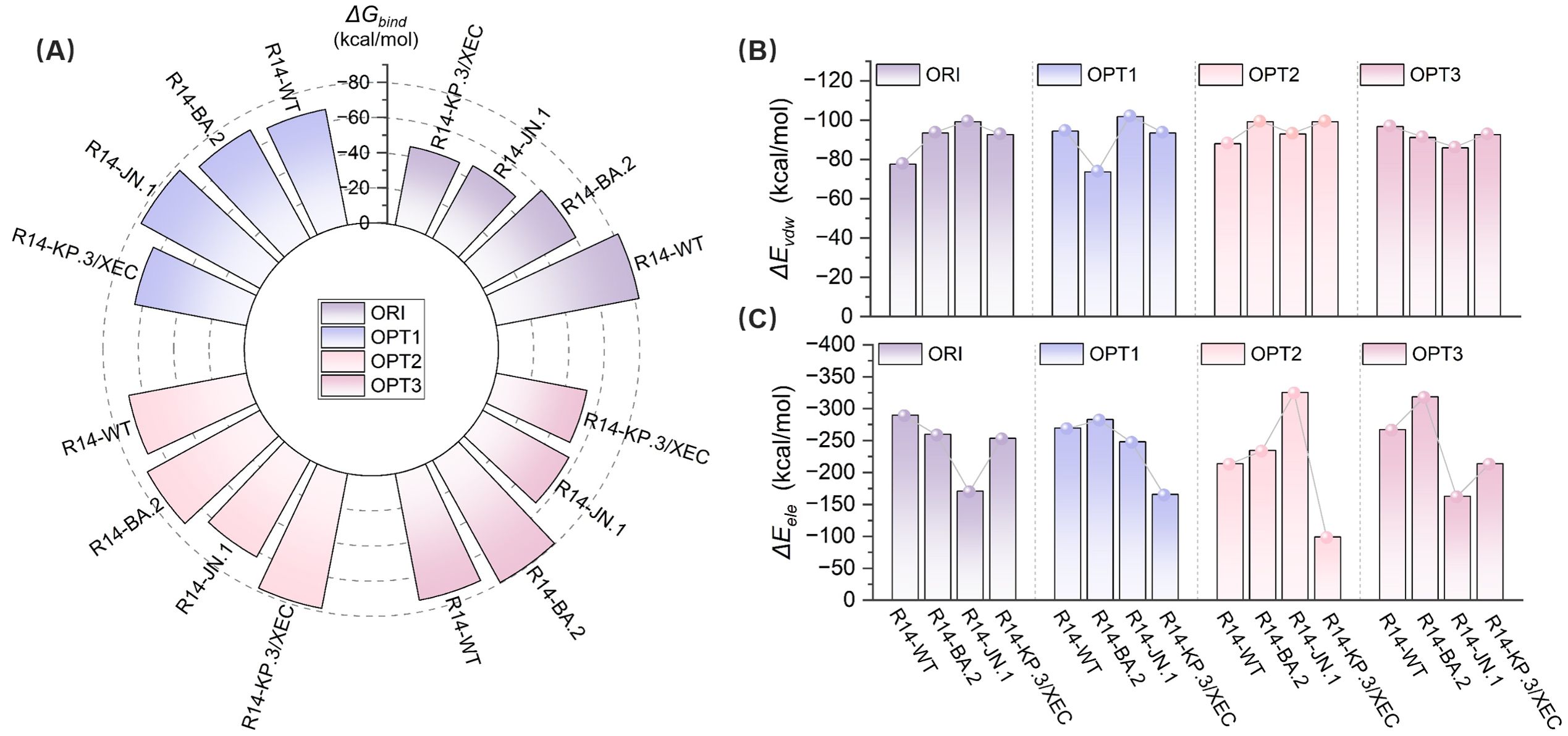 Panel (A) shows a radial diagram comparing different models labeled R14-WT, R14-BA2, R14-JN.1, and R14-KP.3/XEC, with color gradients representing conditions ORI, OPT1, OPT2, and OPT3. Panel (B) is a bar graph of \(\Delta E_{\text{vdw}}\) in kcal/mol, comparing the same models under the four conditions. Panel (C) is a bar graph of \(\Delta E_{\text{ele}}\) in kcal/mol for the same models and conditions. Different shades in both graphs correspond to the conditions, as indicated in the legend.