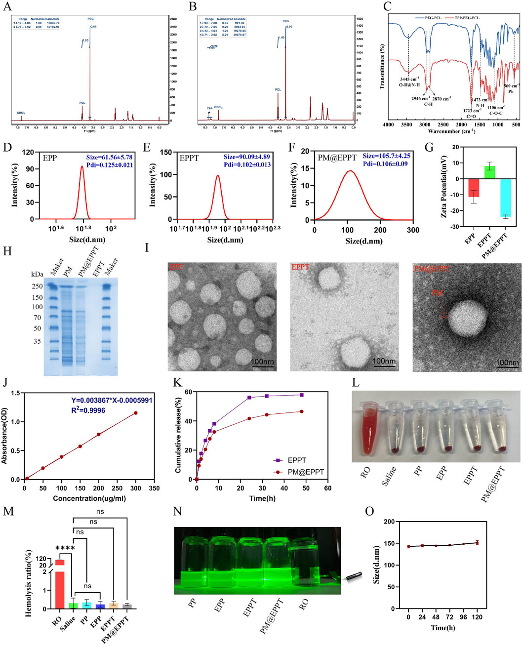 A collection of scientific graphs and images related to nanoparticle research. Panels A and B show chromatography results with peaks labeled. Panel C illustrates infrared spectroscopy data. Panels D, E, and F present size distribution graphs of nanoparticles. Panel G is a bar graph showing zeta potentials for different samples. Panel H displays a gel electrophoresis result. Panel I includes transmission electron microscopy images of nanoparticles. Panel J is a scatter plot of absorbance versus concentration. Panel K displays a line graph of cumulative release over time. Panel L is a photograph of test tubes with solutions. Panel M shows a bar graph of hemolysis ratios. Panel N is an image of vials under UV light. Panel O presents a line graph of size over time.