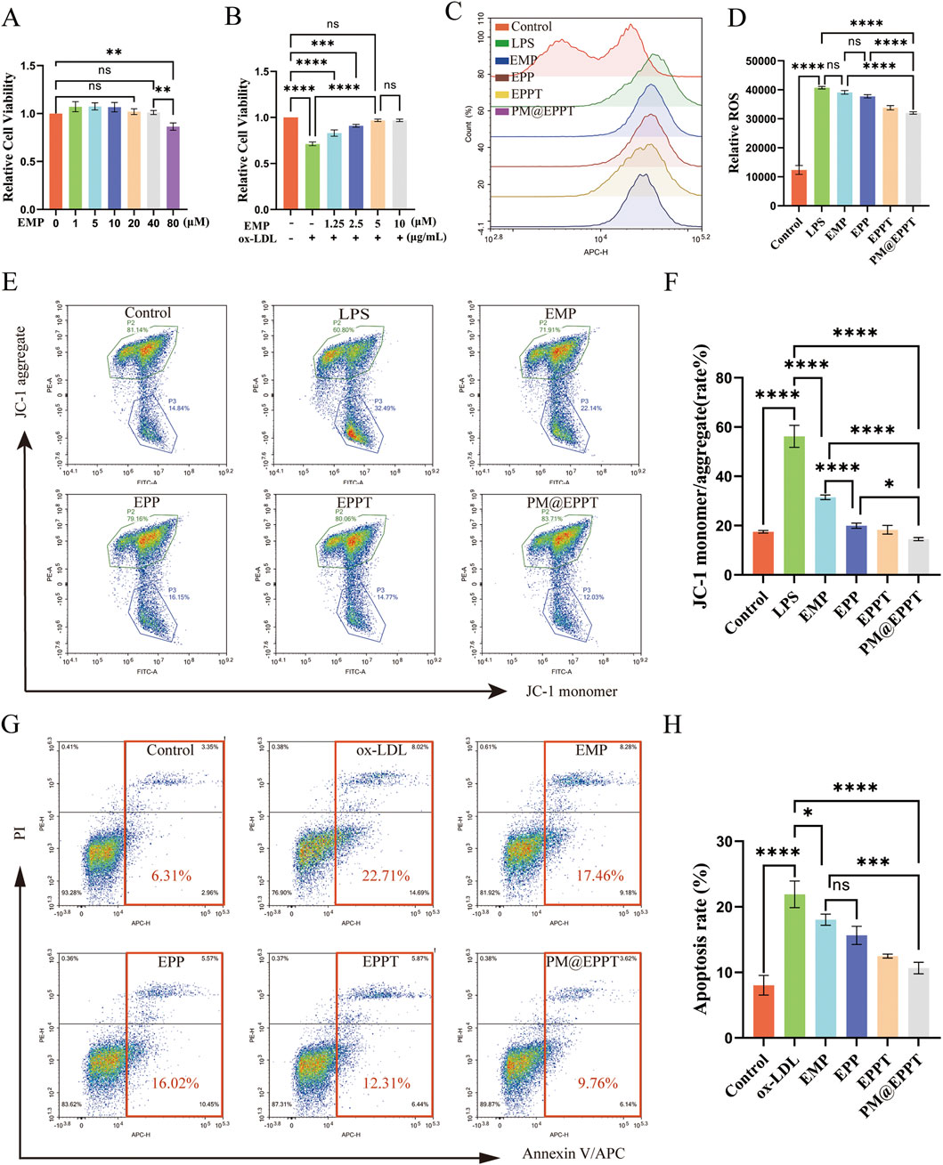 Bar charts, line graph, and scatter plots display cell viability, ROS levels, mitochondrial membrane potential, and apoptosis rates in various experimental conditions: EMP, ox-LDL, EPP, EPPT, PM@EPPT. Significant differences are indicated by asterisks;