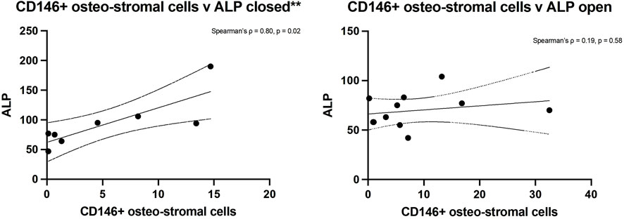 Scatterplot graphs illustrating the relationship between CD146+ osteo-stromal cells and ALP levels. The left graph, titled
