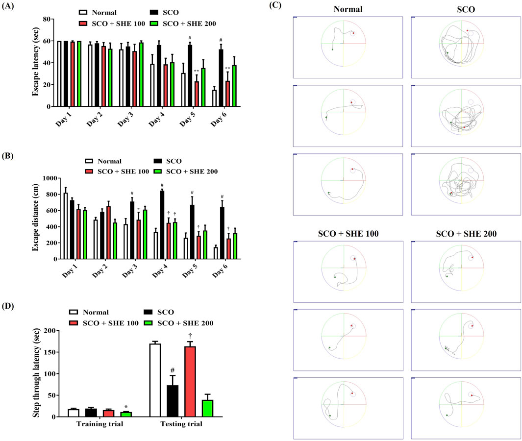 Bar and trajectory charts display escape latency, escape distance, and path navigation under different conditions labeled Normal, SCO, SCO + SHE 100, and SCO + SHE 200. Panels A and B show bar graphs for days one to six measuring escape time in seconds and distance in centimeters. Panel C illustrates circular path trajectories for each condition. Panel D presents step-through latency during training and testing trials. Statistical significance is indicated with symbols on the bar charts.