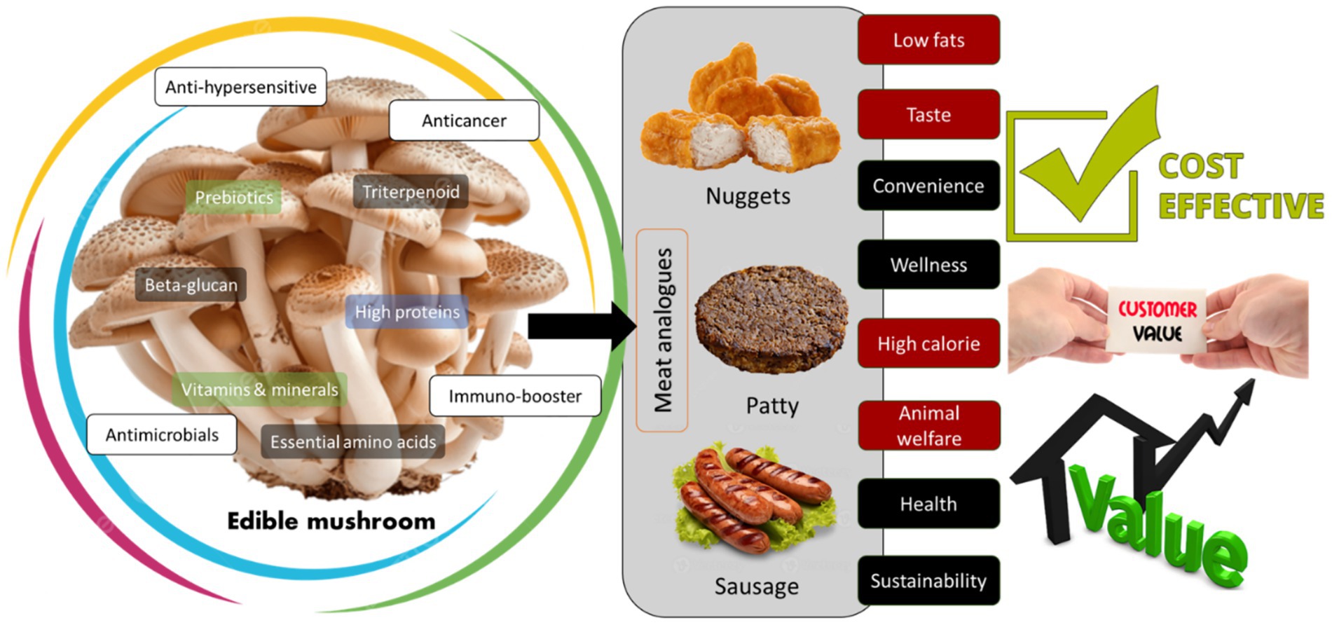 Frontiers | Mushroom: an emerging source for next generation