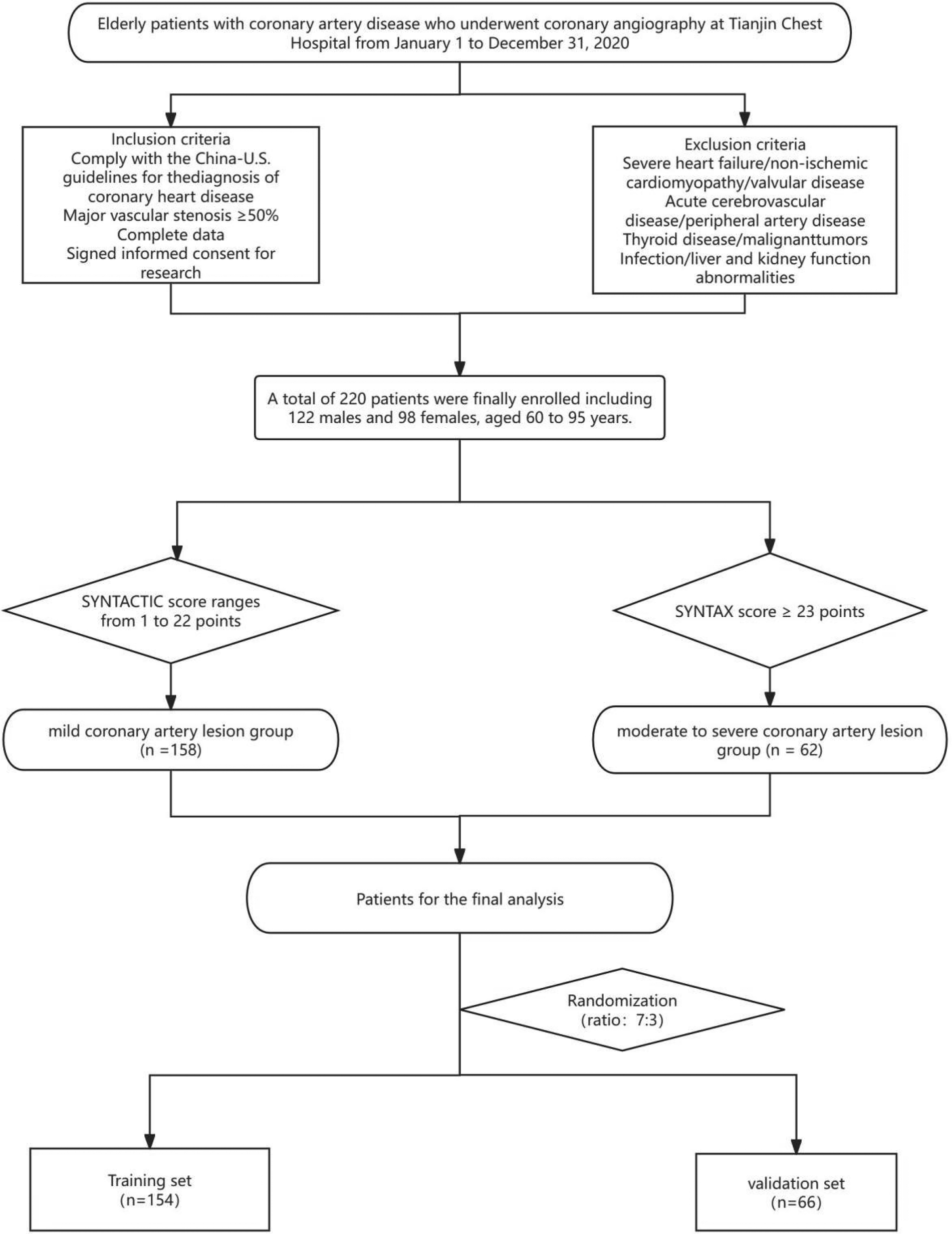 Flowchart illustrating the enrollment and classification of elderly patients with coronary artery disease who underwent coronary angiography at Tianjin Chest Hospital in 2020. Inclusion criteria include compliance with China-U.S. guidelines, major vascular stenosis, complete data, and informed consent. Exclusion criteria cover severe heart conditions, acute cerebrovascular disease, thyroid disease, and organ function abnormalities. A total of 220 patients were included, aged 60 to 95, and were divided based on the SYNTAX score: a mild group with scores of 1 to 22 (n=158) and a moderate to severe group with scores of 23 or more (n=62). Patients were randomized into a training set (n=154) and a validation set (n=66).