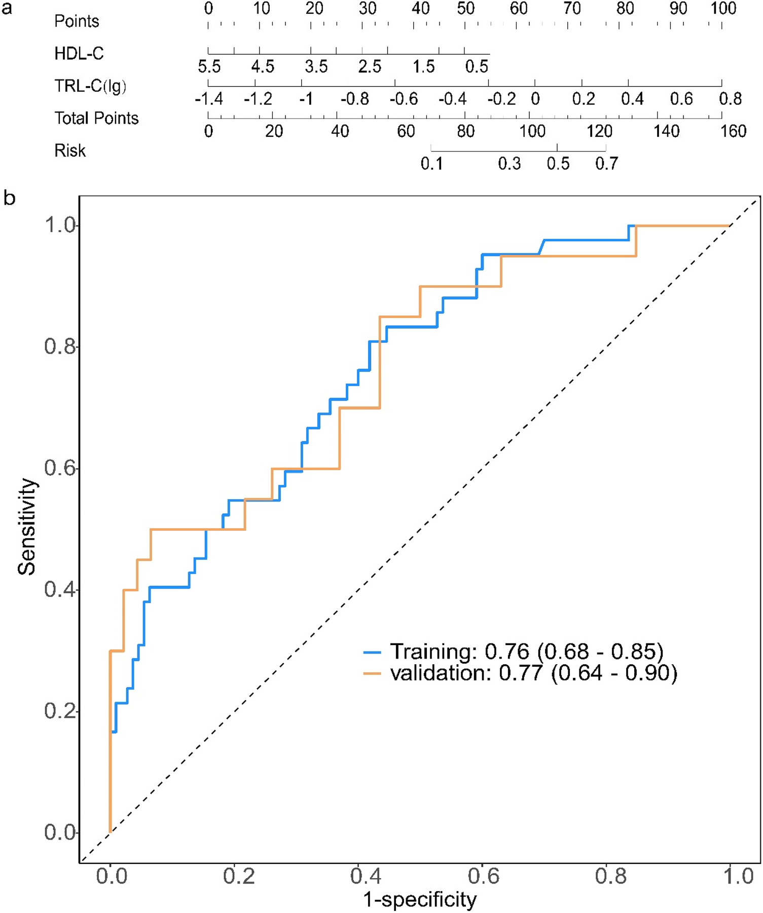 Panel (a) depicts a scoring chart correlating HDL-C and TRL-C values with risk and total points. Panel (b) shows a ROC curve with sensitivity versus one minus specificity. The blue line represents training data with an AUC of 0.76 (0.68–0.85), and the orange line represents validation data with an AUC of 0.77 (0.64–0.90).
