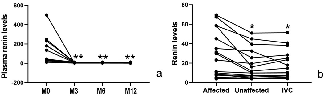 Graph a shows plasma renin levels decreasing sharply from month zero to month twelve, with significant reductions marked by asterisks at months three, six, and twelve. Graph b illustrates renin levels in affected and unaffected groups, and IVC. Levels are higher in the unaffected and IVC groups compared to the affected group, with significant differences noted by asterisks.