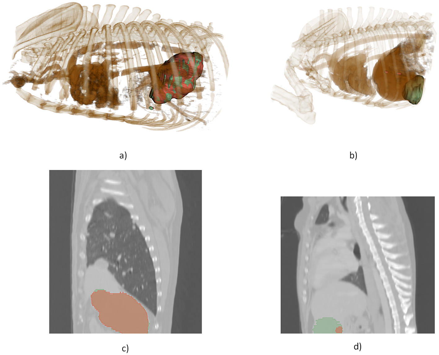 Image displaying the best and worst segmentations for the models.
