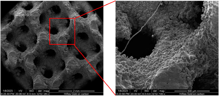 Scanning electron microscope images showing a porous material. The left image displays a network of interconnected holes, while the right image provides a magnified view of a single pore with detailed surface texture, featuring small spherical particles.
