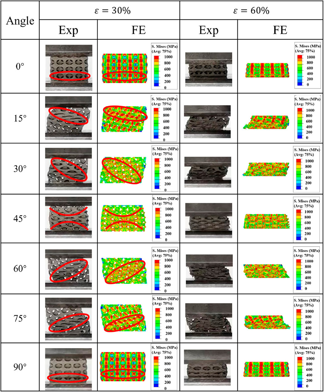 Grid comparing experimental (Exp) and finite element (FE) results of materials at angles 0° to 90° under strains of 30% and 60%. Each row displays a photo and a stress distribution diagram with color-coded Von Mises stress ranging from 0 to 1,000 MPa. Red ellipses highlight key areas of interest.