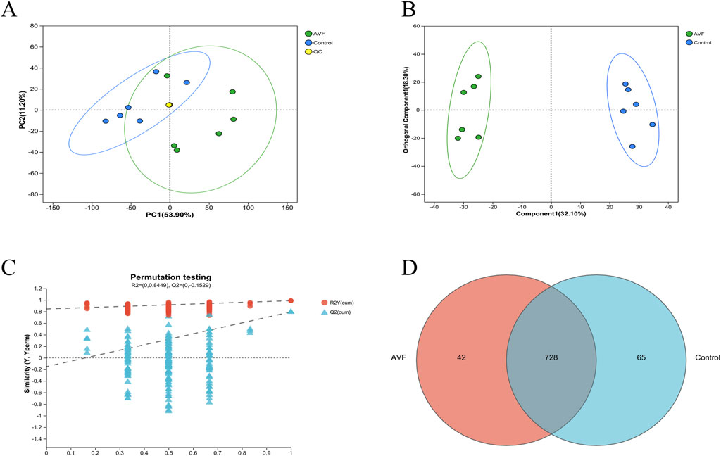 Panel A shows a PCA plot with two clusters: AVF (green) and Control (blue), with QC samples marked in yellow. Panel B is an orthogonal component plot showing similar group separations. Panel C presents permutation testing with R2Y and Q2 values. Panel D is a Venn diagram indicating 42 unique features in AVF, 65 in Control, and 728 common features.