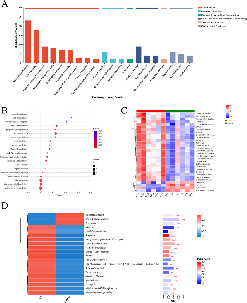 Bar chart, bubble chart, heat map, and clustered heat map displaying metabolic pathway analyses. A shows the number of compounds across various pathway classifications. B presents pathway enrichment with p-values and compound numbers. C is a heat map comparing compound levels in ANF and control groups. D features a clustered heat map and VIP scores for metabolites differentiating between ANF and control. Key indicates categories like metabolism and diseases.
