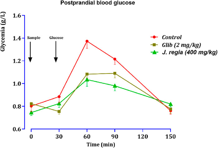Line graph illustrating postprandial blood glucose levels, measured in grams per liter, over 150 minutes. Three groups are represented: Control (red), Glib (2 mg/kg) (brown), and J. regia (400 mg/kg) (green). The Control group peaks at 60 minutes with the highest glycemia. Both Glib and J. regia show a moderated increase, peaking lower than Control. Glycemia decreases in all groups towards 150 minutes.