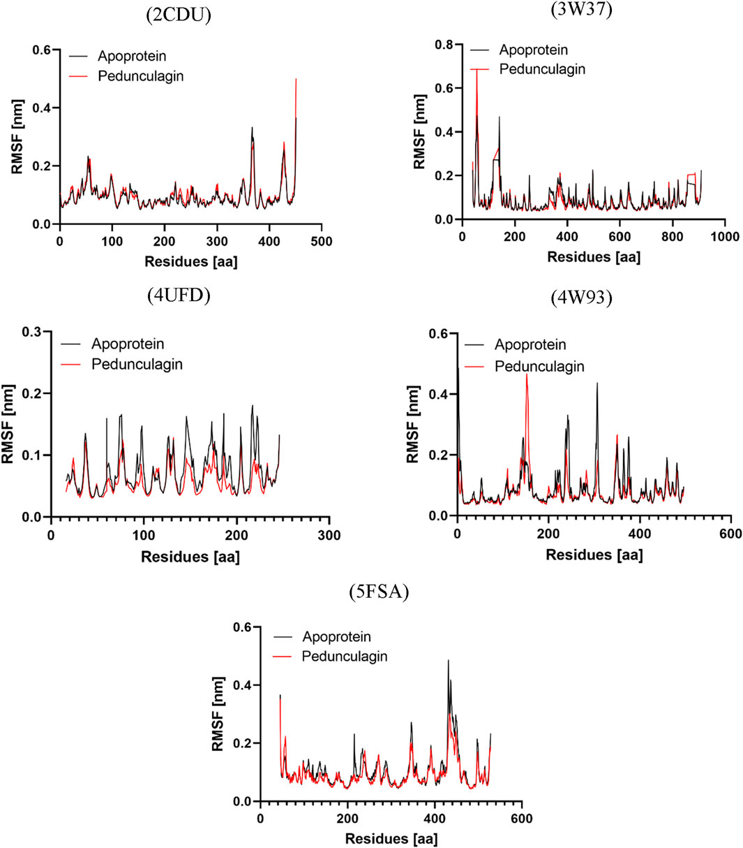 Five line graphs display RMSF values for apoprotein and pedunculagin across various residues. Each subplot, labeled with a specific protein identifier (2CDU, 3W37, 4UFD, 4W93, 5FSA), compares fluctuation patterns of apoprotein (black) and pedunculagin (red) over different residue ranges. Peaks and troughs vary among the graphs, indicating differences in molecular dynamics.