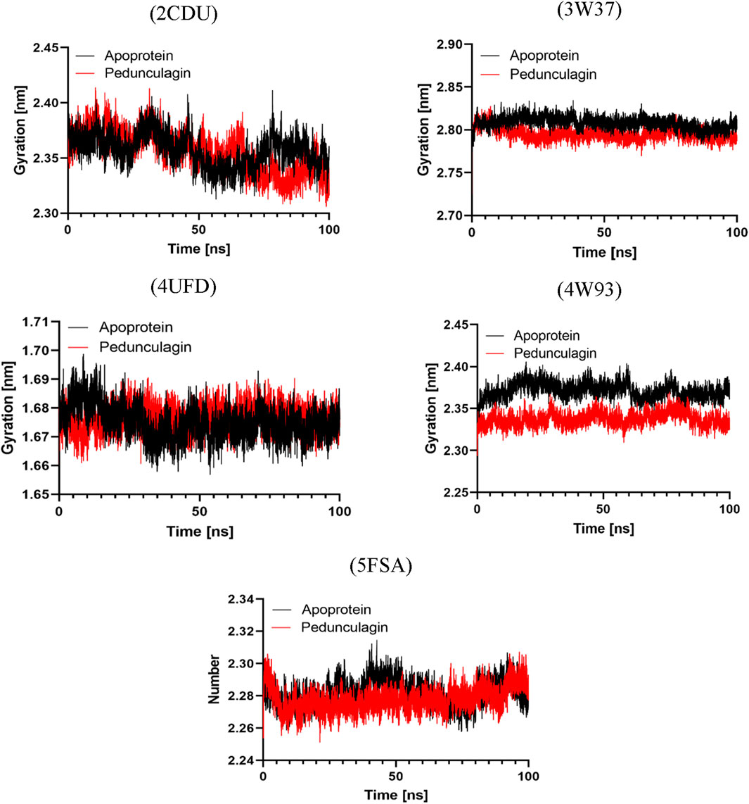 Graphs showing gyration over time for different proteins. Each panel represents a protein: 2CDU, 3W37, 4UFD, 4W93, and 5FSA. Black lines denote apoprotein, red lines denote pedunculagin. Gyration varies slightly over 100 nanoseconds, with pedunculagin generally having lower gyration than apoproteins.