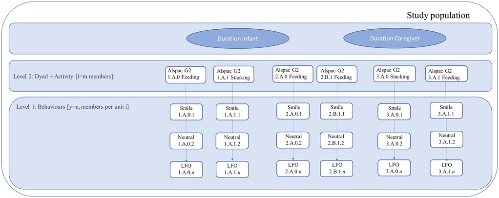 Diagram illustrating the hierarchical structure of the dataset used for bivariate two-level modelling of infant and caregiver behavioural durations. The figure shows two dependent variables at the top—Duration Infant and Duration Caregiver—modelled jointly within the same framework. Level 2 represents dyad–activity combinations (e.g., feeding, stacking) nested within the study population (ALSPAC-G2 families). Level 1 represents individual coded behavioural events, such as Smile, Neutral, and LFO (Look at Focus Object), nested within each dyad–activity unit. The diagram visualises how repeated, time-coded behavioural observations were structured for statistical analysis.