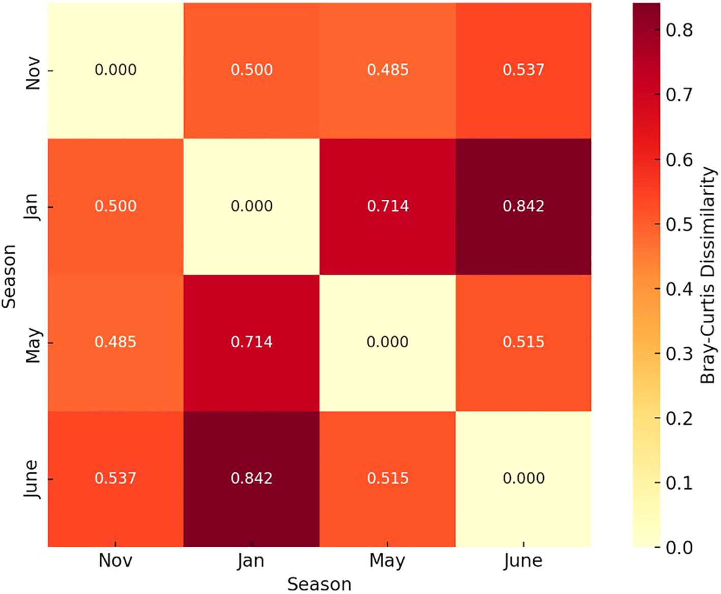 Heatmap showing Bray-Curtis dissimilarity between months: November, January, May, and June. Values range from zero (light yellow) to point eight (dark red), indicating increasing dissimilarity.