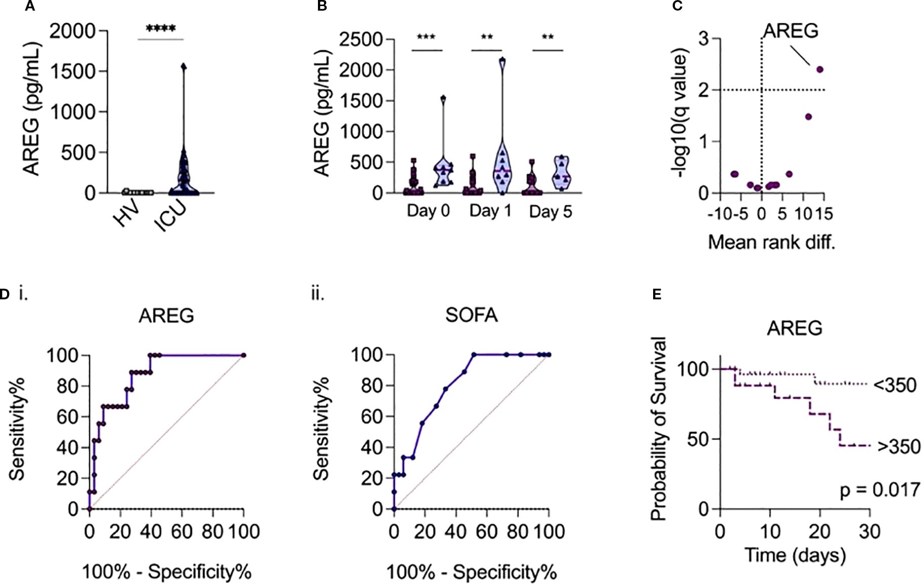 a. Violin plot comparing AREG levels in healthy volunteers (HV) to ICU patients, showing a significant increase in ICU patients. b. Violin plot showing AREG levels over days 0, 1, and 5, with significant elevation on days 1 and 5. c. Volcano plot displaying AREG with a significant mean rank difference. d.i. ROC curve for AREG, indicating high sensitivity and specificity. d.ii. ROC curve for SOFA score, showing good sensitivity and specificity. e. Kaplan-Meier survival plot for AREG levels below and above three hundred fifty, indicating higher survival rates in lower levels with p-value 0.017.