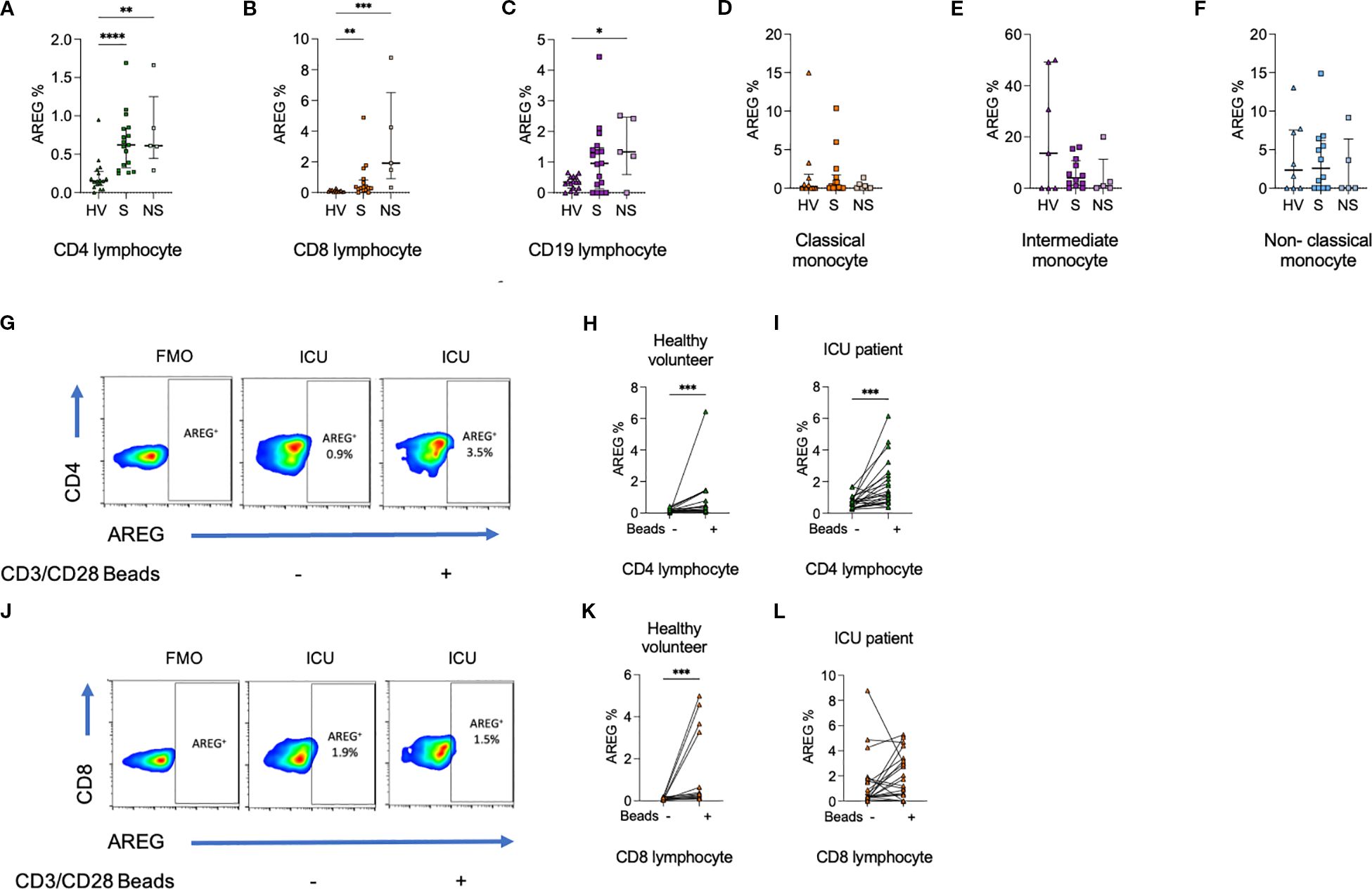 Graphs demonstrate AREG percentage across various immune cells. Panels a-f show AREG% in lymphocytes and monocytes for healthy volunteers (HV), sepsis patients (S), and non-sepsis ICU patients (NS). Panels g and j display flow cytometry plots for AREG% in CD4 and CD8 lymphocytes with and without CD3/CD28 beads. Panels h, i, k, and l show AREG% increase in CD4 and CD8 lymphocytes with beads for healthy volunteers and ICU patients, indicating significant increase (***p<0.001).