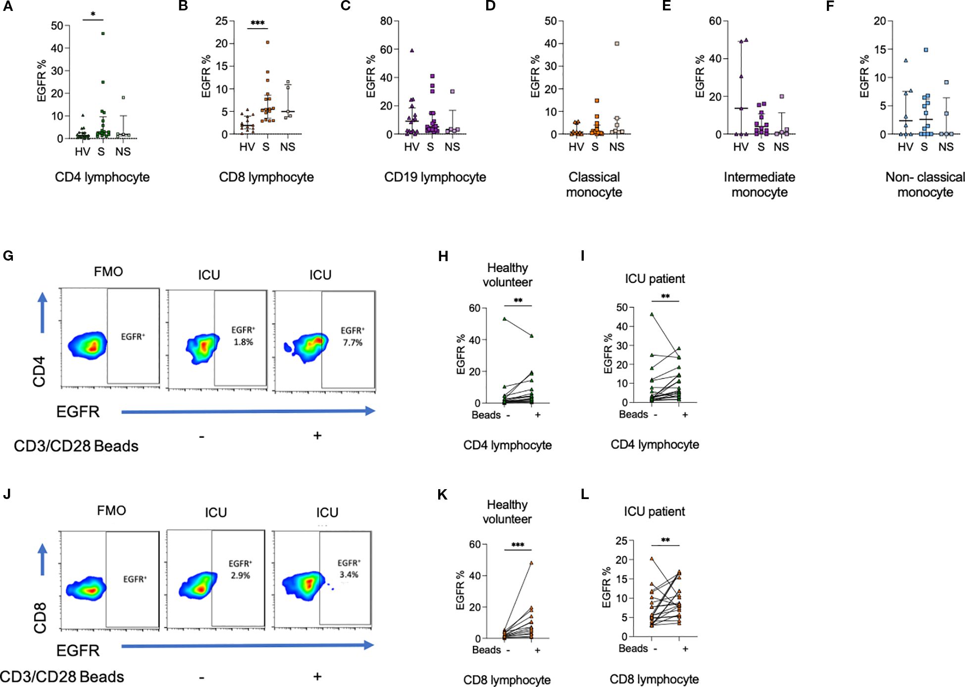Graphs depicting EGFR percentage across various immune cell types including CD4, CD8, and CD19 lymphocytes, as well as classical, intermediate, and non-classical monocytes. Panels g, j show flow cytometry plots with CD4/CD8 lymphocytes labeled EGFR+ after CD3/CD28 bead stimulation. Panels h, i, k, l present EGFR% changes in healthy volunteers and ICU patients, indicating significant differences between bead-stimulated and unstimulated conditions. Asterisks denote statistical significance levels.