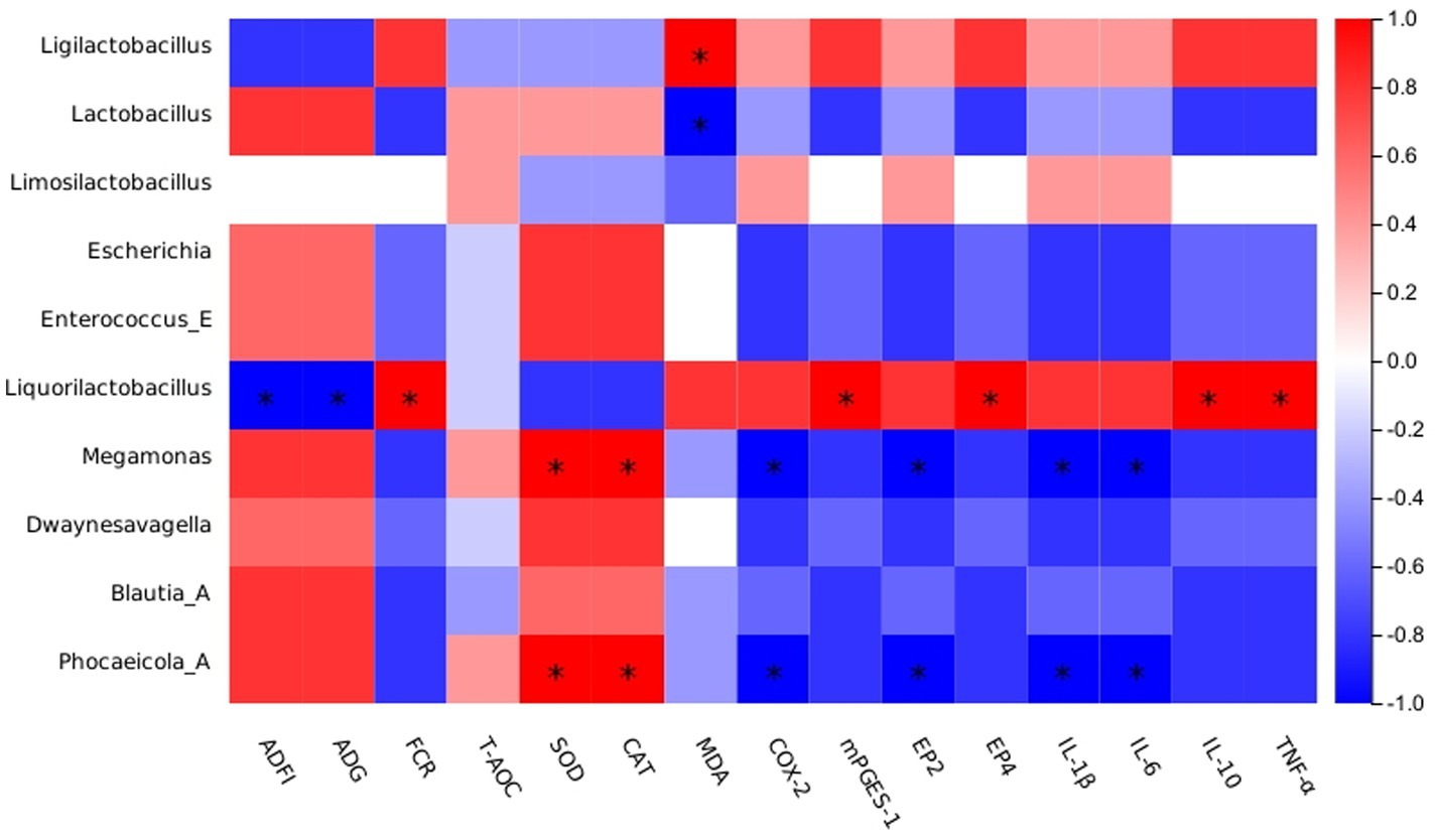 Heatmap displaying correlations between different bacterial genera and various health parameters. Genera include Ligilactobacillus, Lactobacillus, and others. Parameters include ADFI, ADG, and cytokines like IL-1β and TNF-α. Color scale ranges from red (positive correlation) to blue (negative correlation) with asterisks indicating significance.