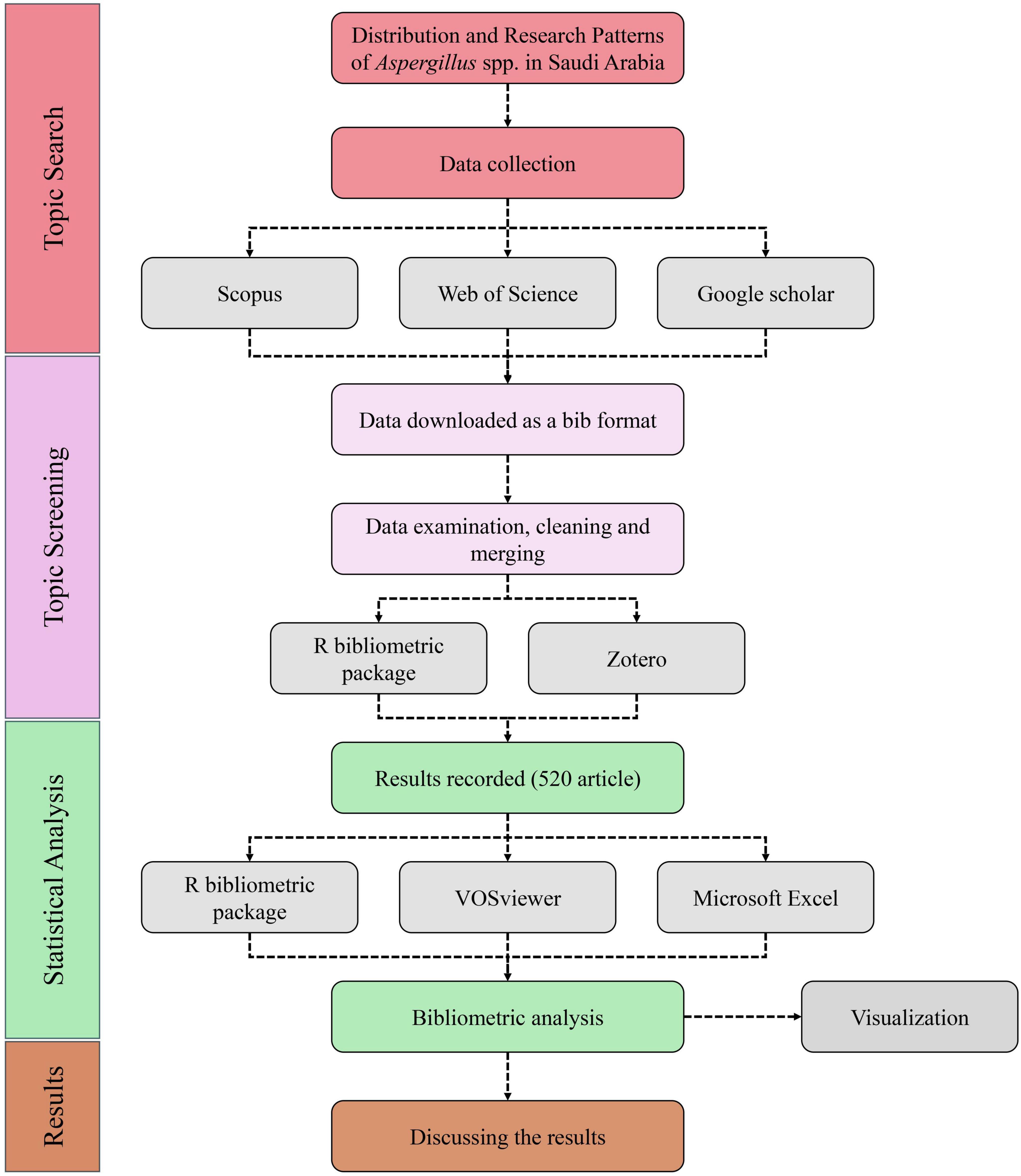 Flowchart illustrating research on Aspergillus spp. in Saudi Arabia, divided into four phases: Topic Search, Screening, Statistical Analysis, and Results. Data is collected via Scopus, Web of Science, and Google Scholar, then downloaded and cleaned. R bibliometric package and Zotero are used for examination. Results from 520 articles are analyzed using R bibliometric package, VOSviewer, and Microsoft Excel. Visualization tools aid in discussing results.