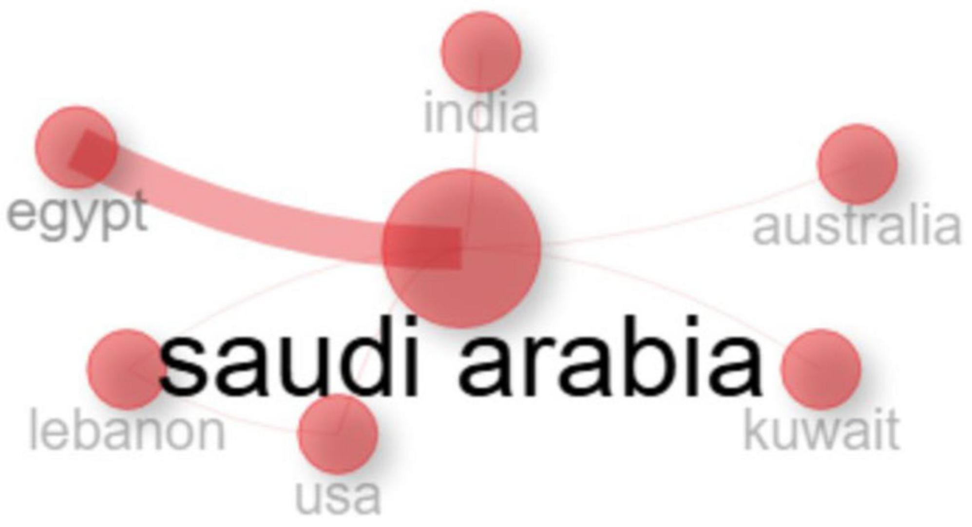 Diagram showing “Saudi Arabia” as the central node connected to six surrounding nodes: Egypt, India, Australia, Kuwait, USA, and Lebanon. Egypt has a slightly thicker connection line.