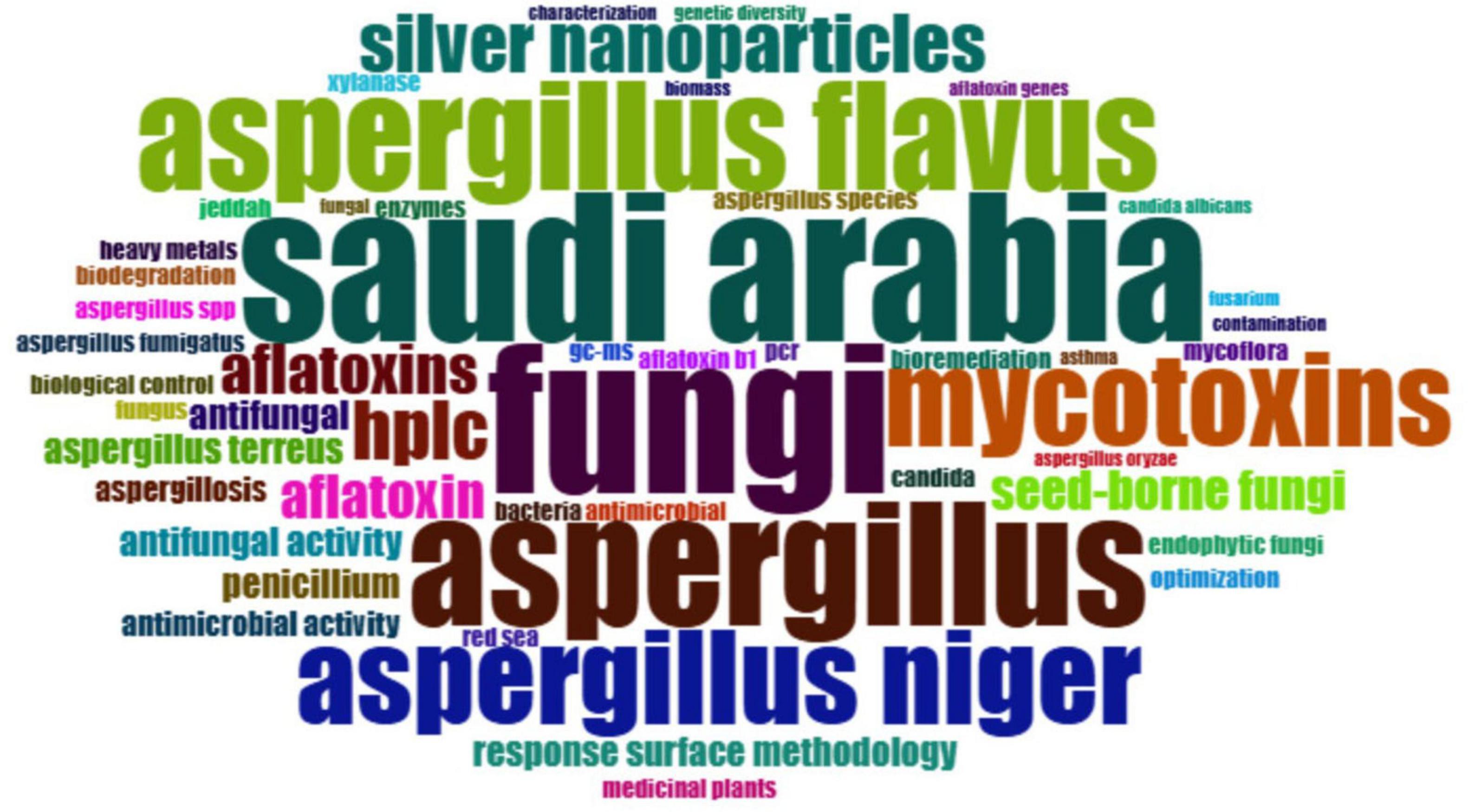 Word cloud highlighting terms related to fungi and mycotoxins research in Saudi Arabia. Prominent words include “saudi arabia,” “fungi,” “aspergillus,” “mycotoxins,” “aspergillus flavus,” and “aspergillus niger.”