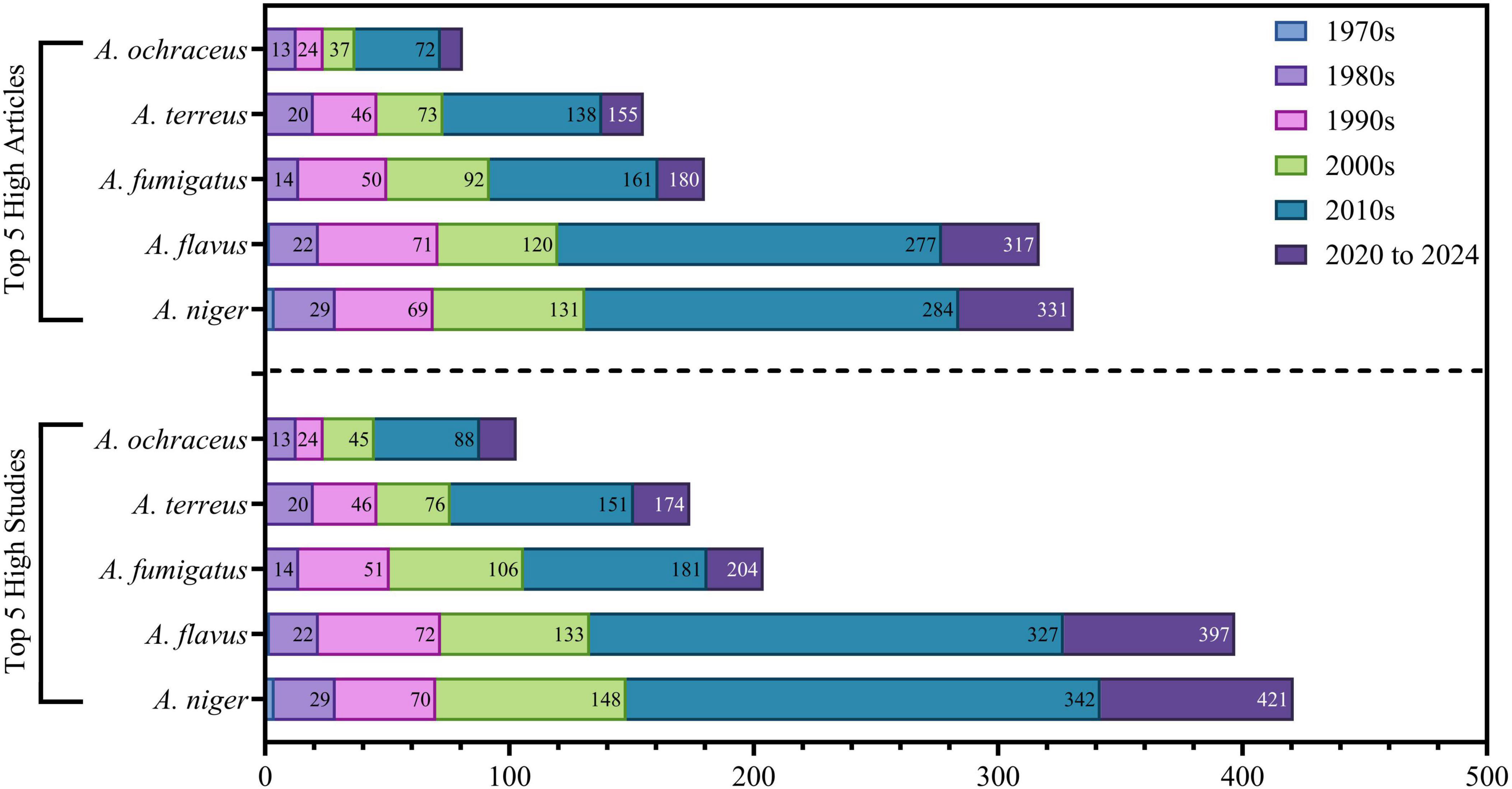 Bar chart comparing the number of high articles and studies across five species of Aspergillus: A. ochraceus, A. terreus, A. fumigatus, A. flavus, and A. niger. Data spans decades from the 1970s to 2020-2024, with distinct colors representing each decade. A. niger has the highest numbers in both articles and studies, especially in recent years.