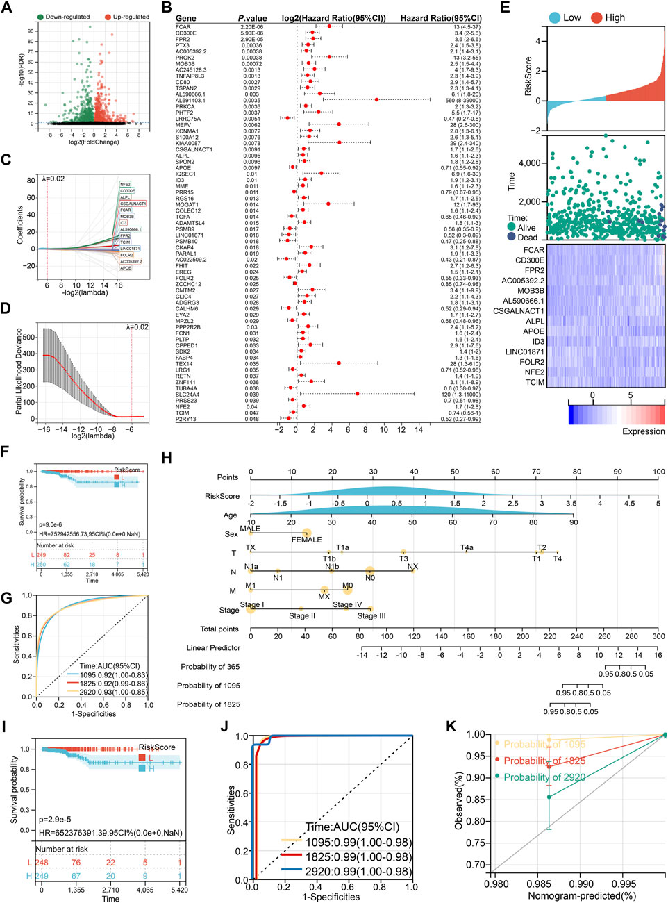 A multipanel image with various data visualizations. Panel A displays a volcano plot highlighting down-regulated and up-regulated genes. Panel B shows a forest plot with gene hazard ratios and confidence intervals. Panel C presents a line graph of gene coefficients against lambda values. Panel D features a deviance plot for log-lambda values. Panel E consists of a risk score and survival heatmap. Panel F illustrates a Kaplan-Meier survival curve based on risk score. Panel G, I, and J display ROC curves with sensitivity and specificity data. Panel H is a nomogram for predicting survival probability. Panel K shows a calibration plot for predicted outcomes.