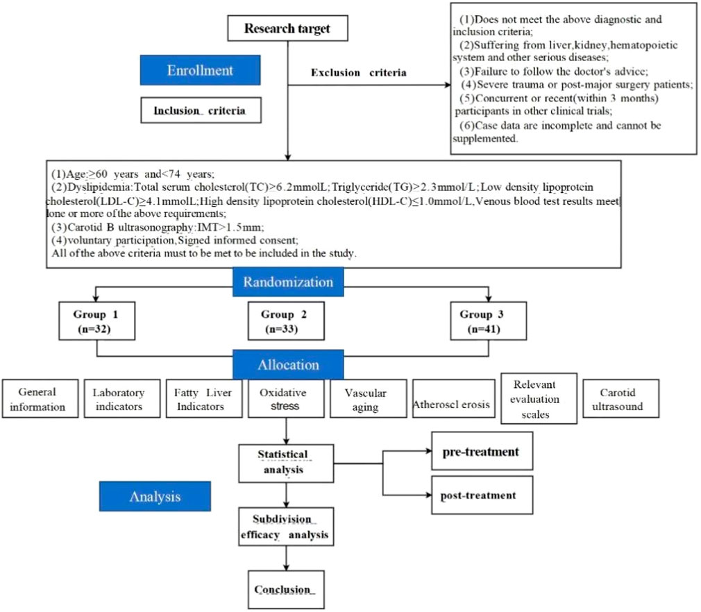 Flowchart depicting a research study process. It begins with the research target and enrollment criteria, detailing specific age, health conditions, and consent requirements. Exclusion criteria include non-compliance, existing diseases, and recent surgery. Randomization divides participants into three groups. Allocation covers data collection on general information, laboratory indicators, fatty liver, oxidative stress, vascular aging, atherosclerosis, evaluation scales, and carotid ultrasound. The analysis section includes statistical analysis, subdivision efficacy, and concludes with pre-treatment and post-treatment evaluations.