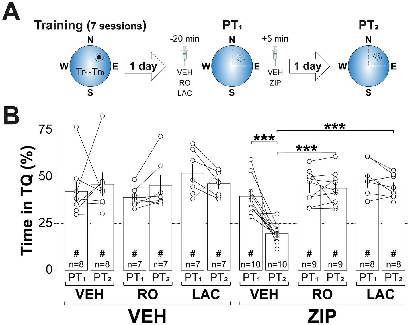 Diagram illustrating a study's experimental process. Panel A shows the training timeline, involving seven sessions with labeled quadrants (N, E, S, W) and drug treatments (VEH, RO, LAC, ZIP). Panel B presents a bar graph comparing the percentage time spent in TQ for various groups (VEH, RO, LAC) across two time points (PT1, PT2), with significant differences marked by triple asterisks (***). Each bar shows individual data points with connecting lines.